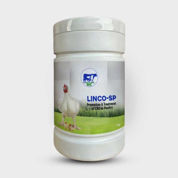 LINCO-SP