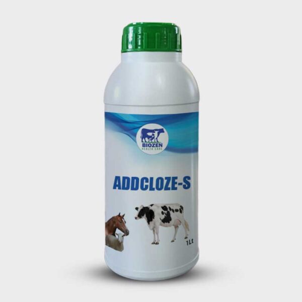 ADDCLOZE -S