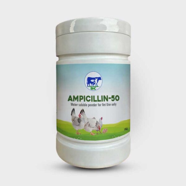 AMPICILLIN-50