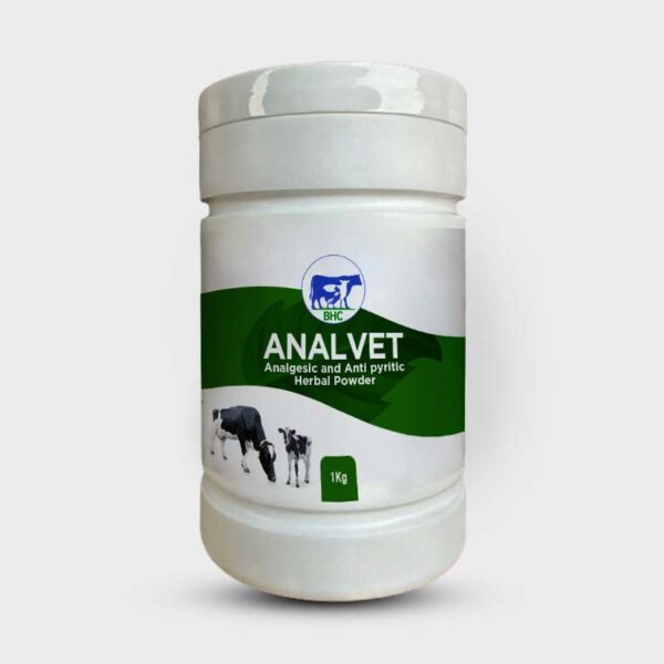 ANALVET