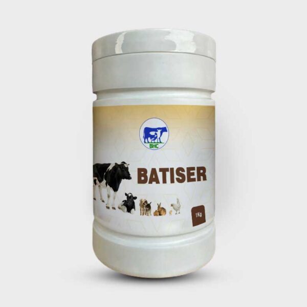 BATISER