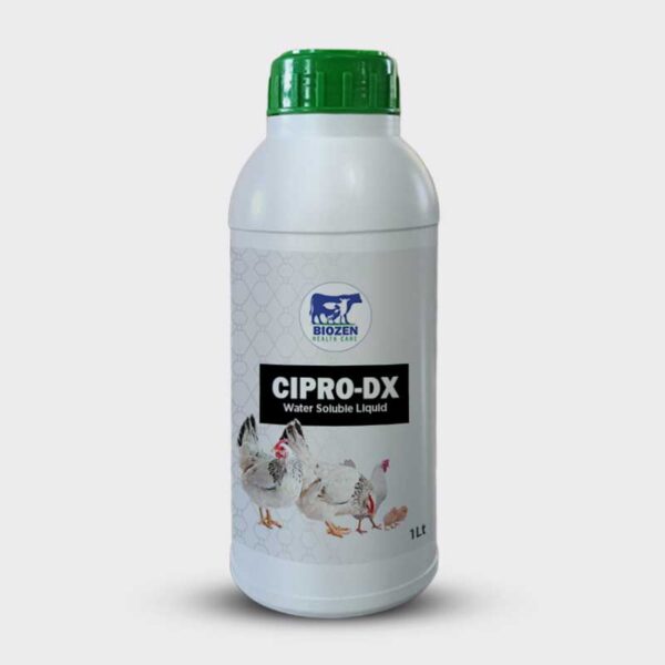 CIPRO-DX