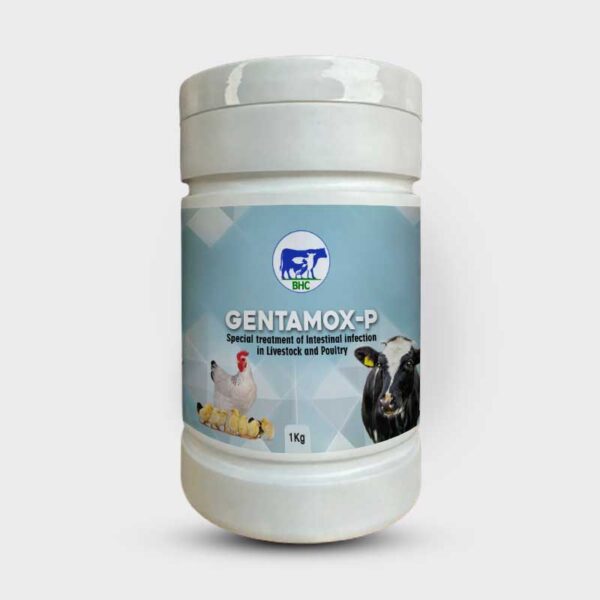 GENTAMOX-P