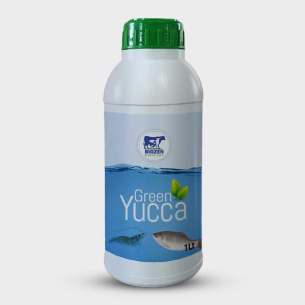 Green Yucca