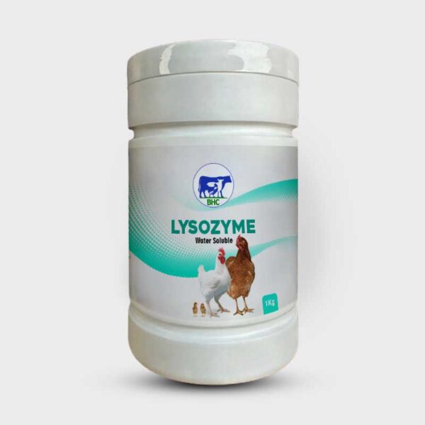 LYSOZYME