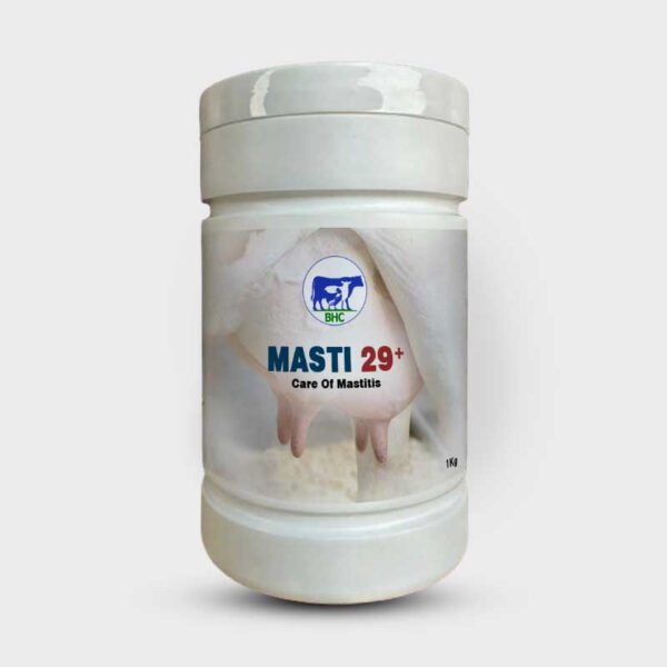 MASTI-29-Plus