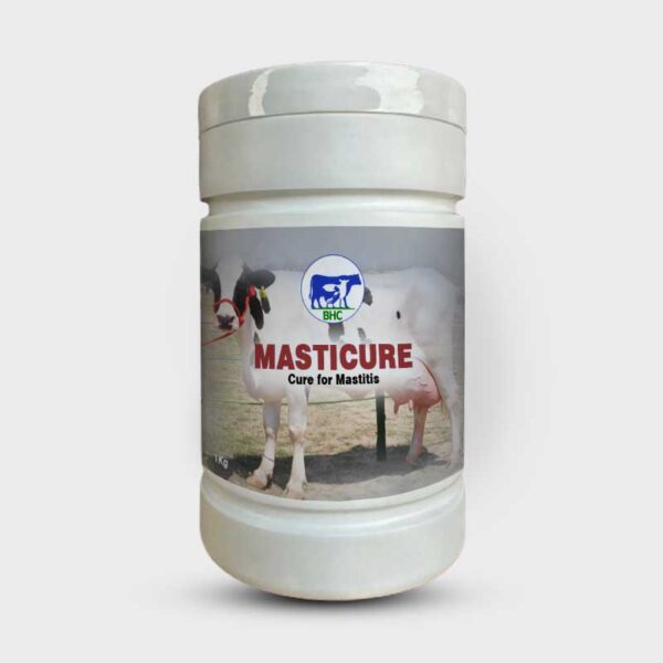 MASTICURE