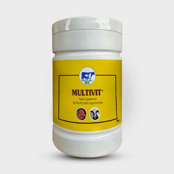 MULTIVIT-Plus