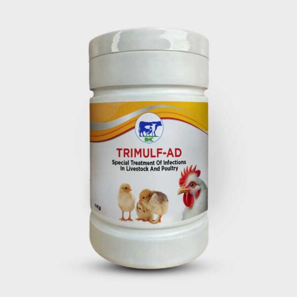 TRIMULF-AD