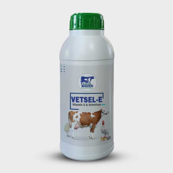 VETSEL-E