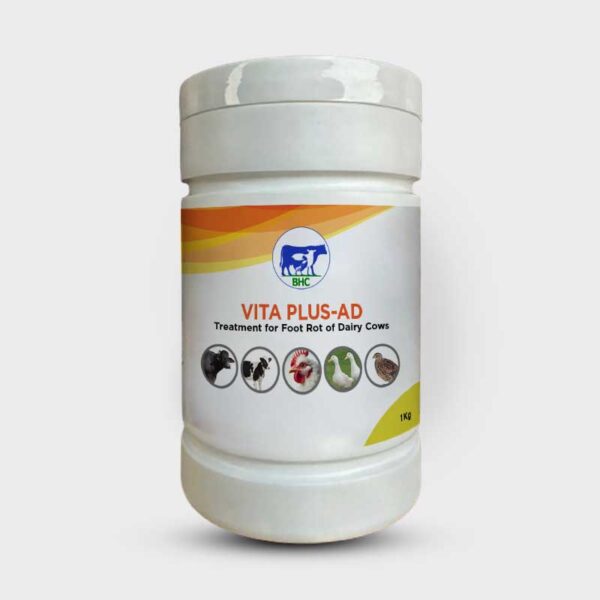 VITA PLUS-AD
