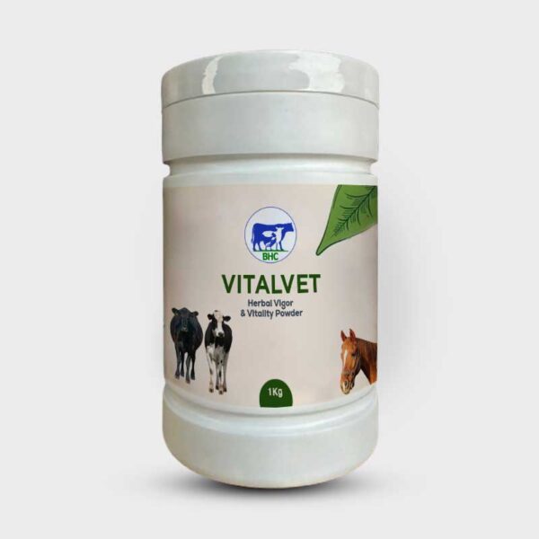 VITALVET