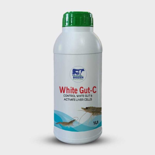 White-Gut-C