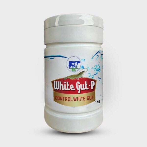 White-Gut-P